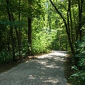11White Tail Park Trail  Montville Duchek 5839